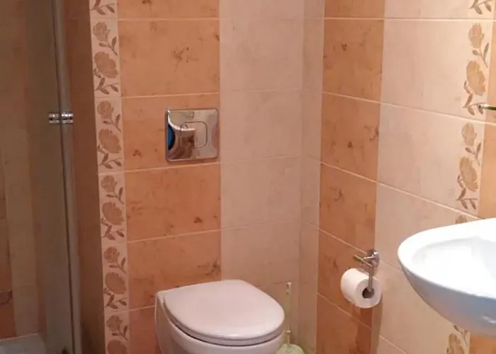 住宿加早餐酒店 Dw Fantazja 3*